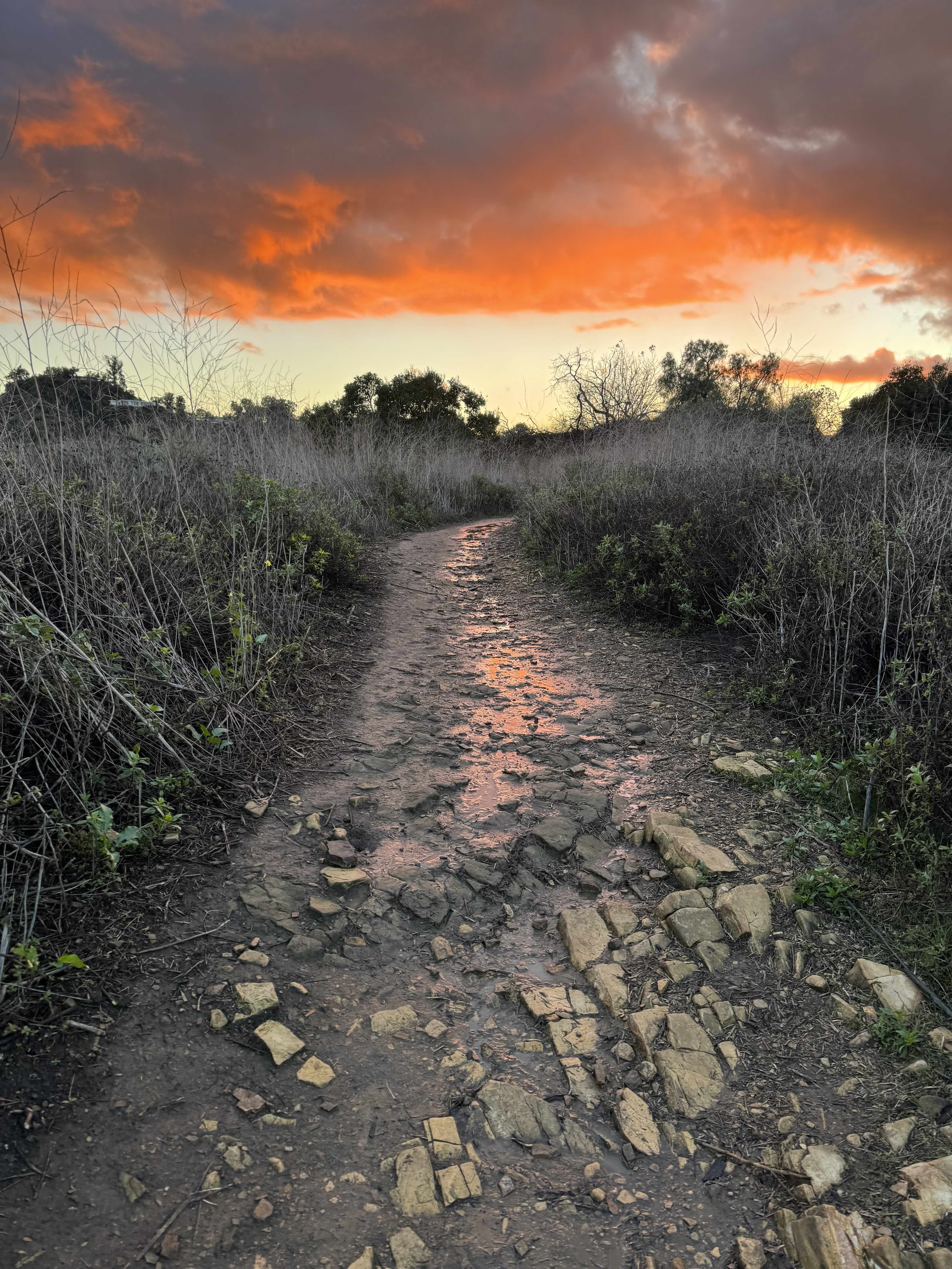 Sunset hike